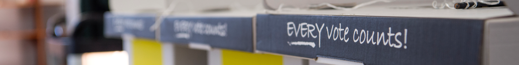 Election - banner 2